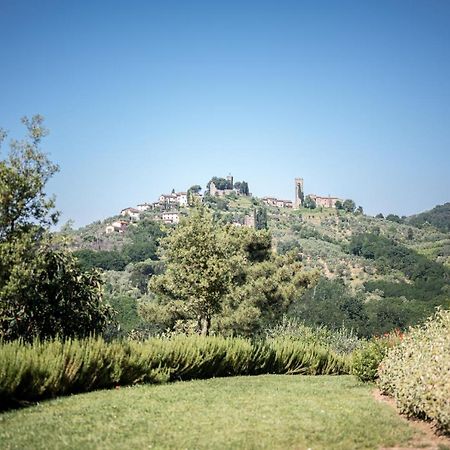 Terre Di Cocomo Borgo a Buggiano Exteriör bild