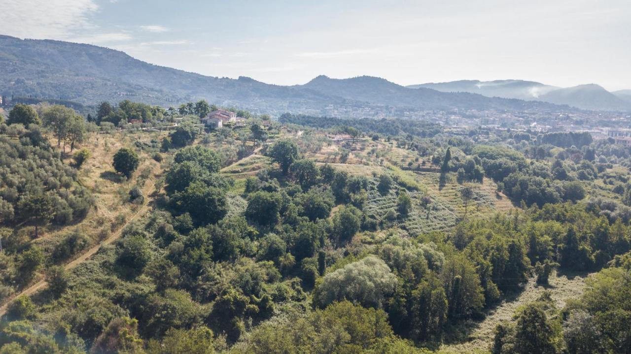Terre Di Cocomo Borgo a Buggiano Exteriör bild