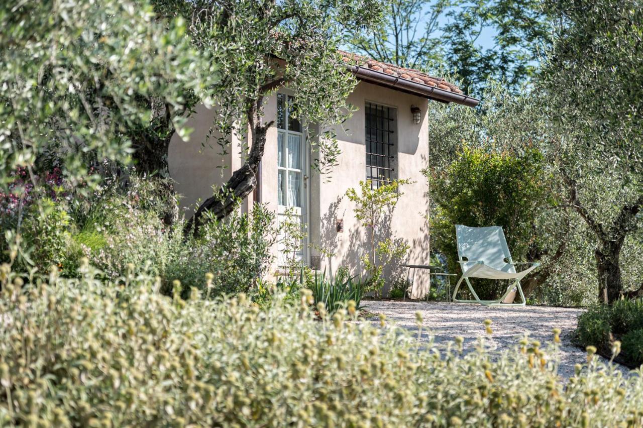 Terre Di Cocomo Borgo a Buggiano Exteriör bild
