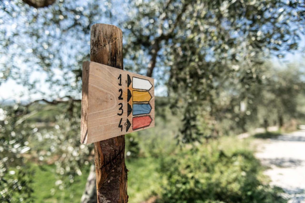 Terre Di Cocomo Borgo a Buggiano Exteriör bild