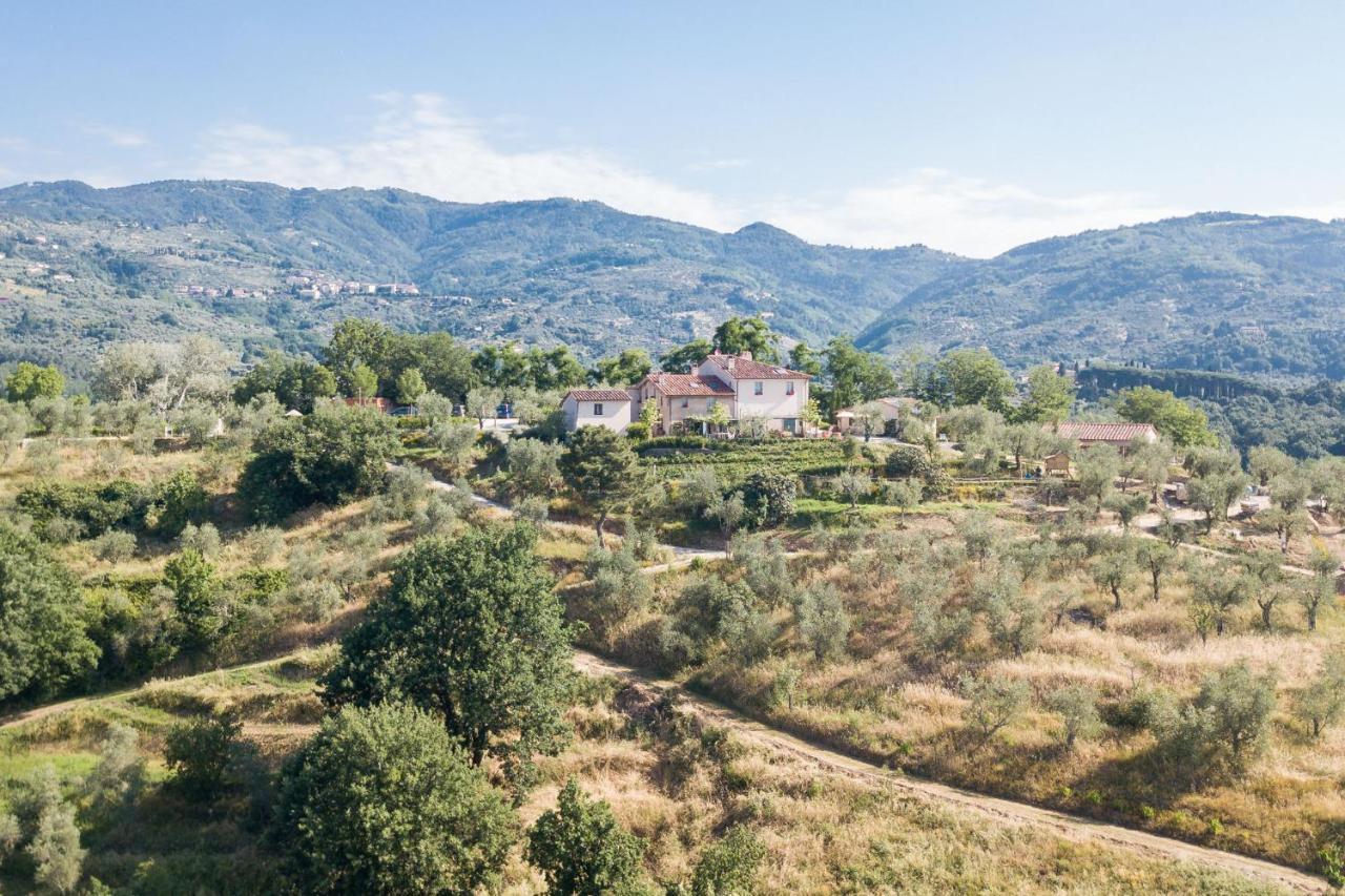 Terre Di Cocomo Borgo a Buggiano Exteriör bild